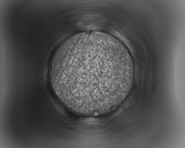 X0000087740153200705291020