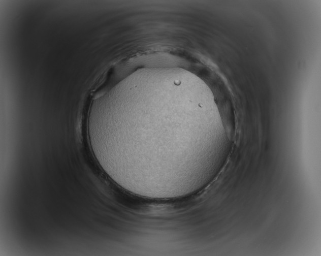 X0000087740154200705291020