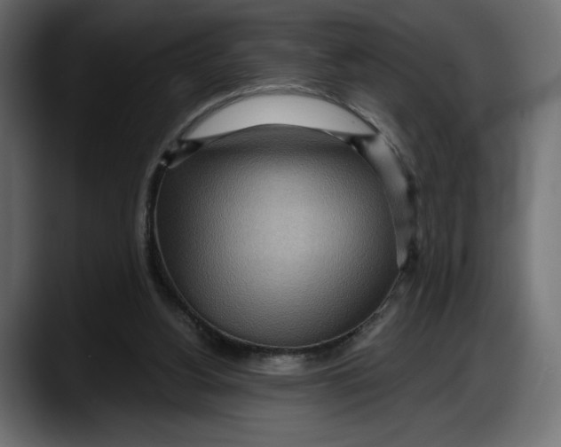 X0000087740156200705291020