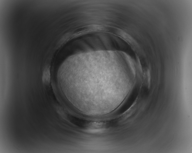 X0000087740158200705291020
