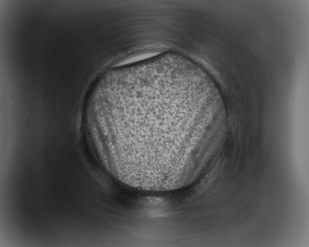 X0000087740159200705291020