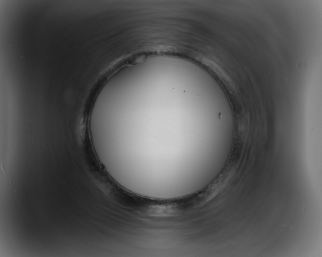 X0000087740160200705291020