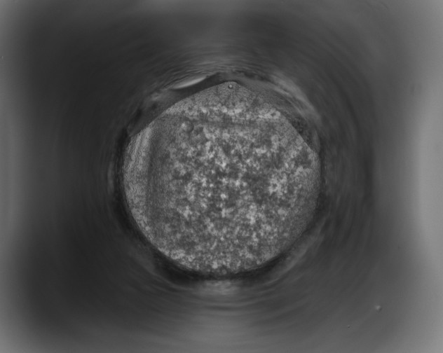 X0000087740161200705291020