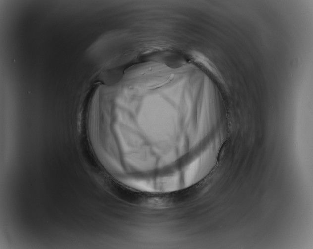 X0000087740163200705291020