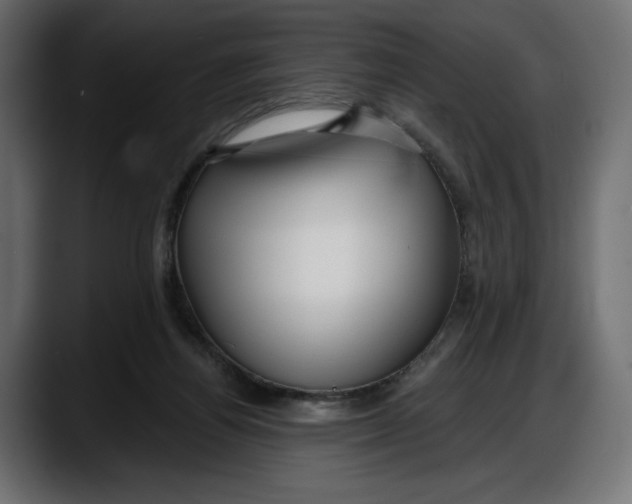 X0000087740164200705291020