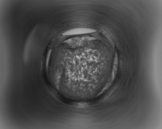 X0000087740165200705291020