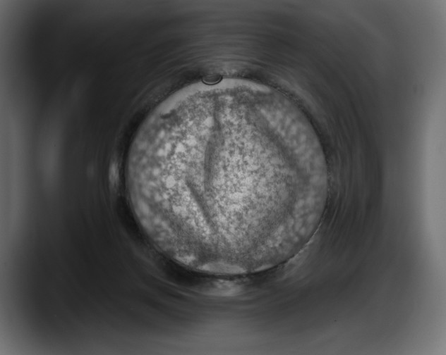 X0000087740166200705291020