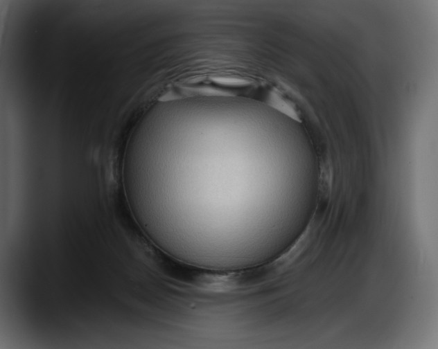 X0000087740170200705291020