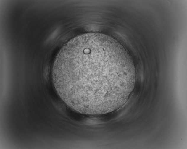 X0000087740171200705291020