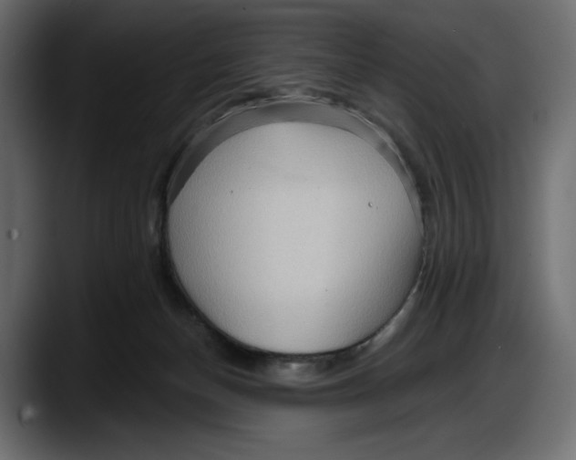 X0000087740174200705291020