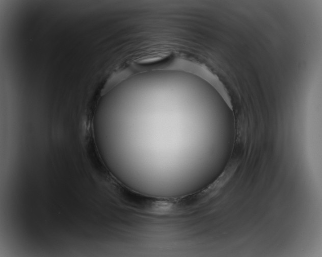 X0000087740176200705291020