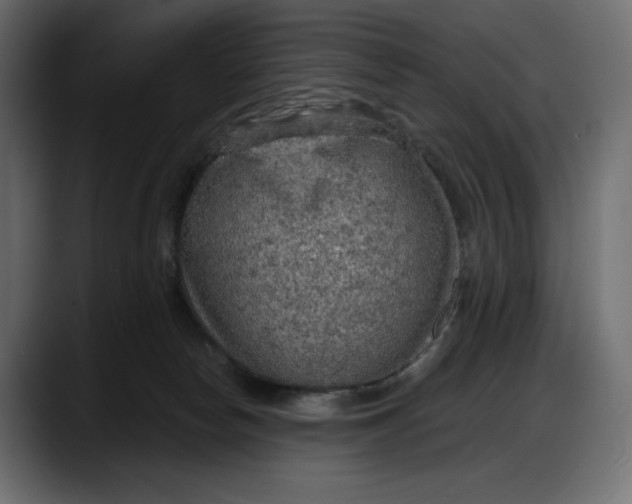 X0000087740178200705291020