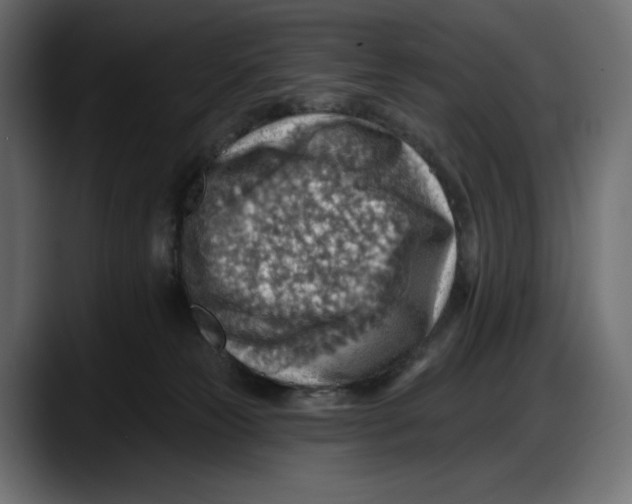 X0000087740181200705291020