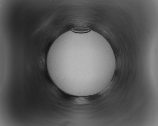 X0000087740183200705291020