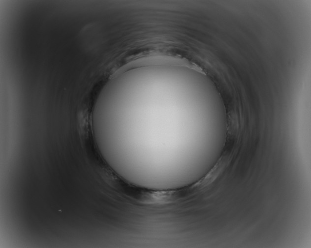 X0000087740184200705291020