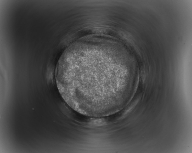 X0000087740185200705291020