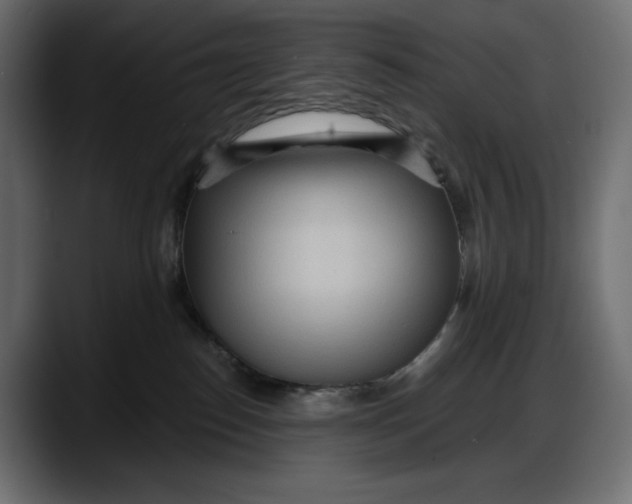 X0000087740186200705291020