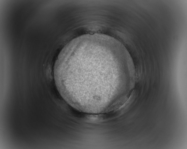 X0000087740187200705291020
