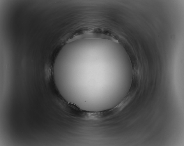 X0000087740188200705291020