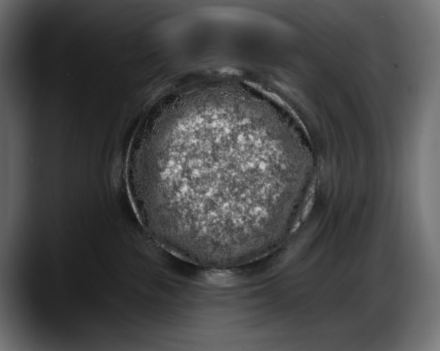 X0000087740189200705291020