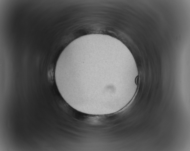X0000087740190200705291021