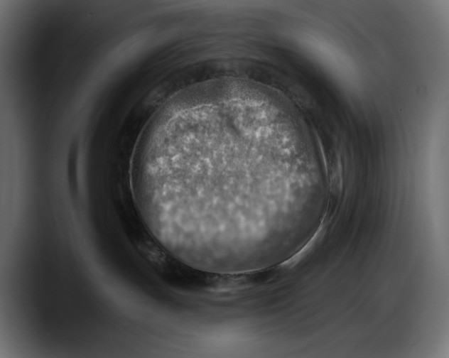 X0000087740191200705291021