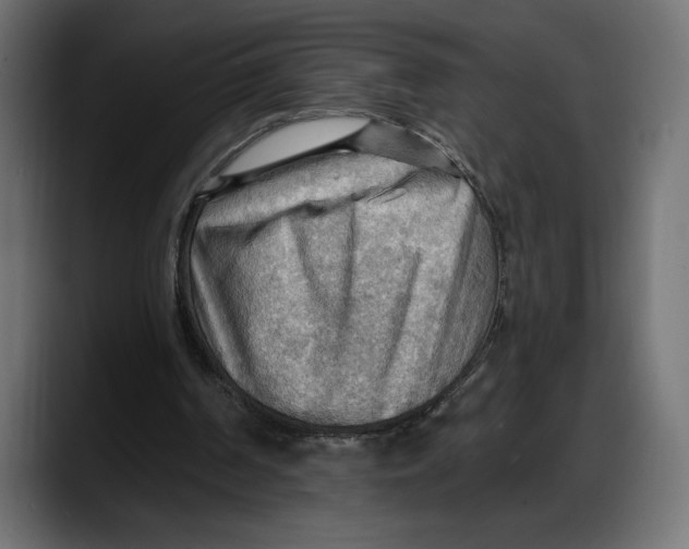 X0000087740194200705291020