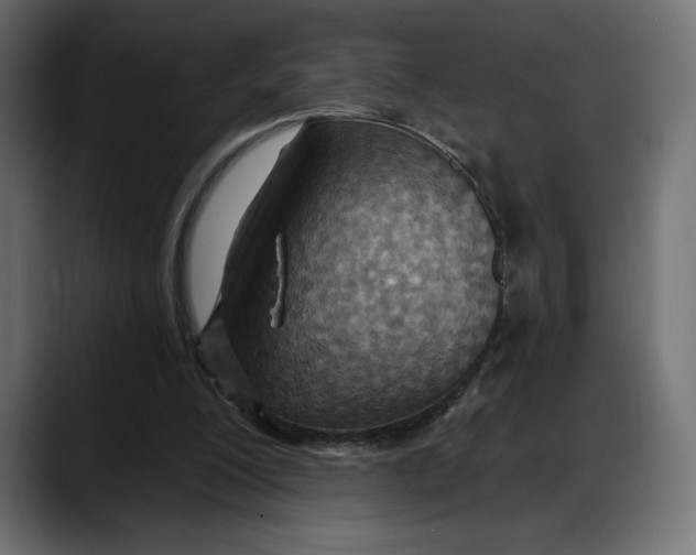 X0000087740200200705291020