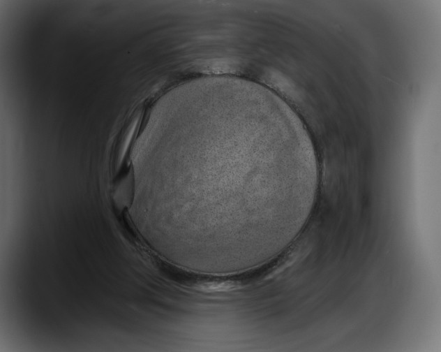 X0000087740202200705291020