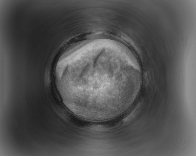 X0000087740203200705291020