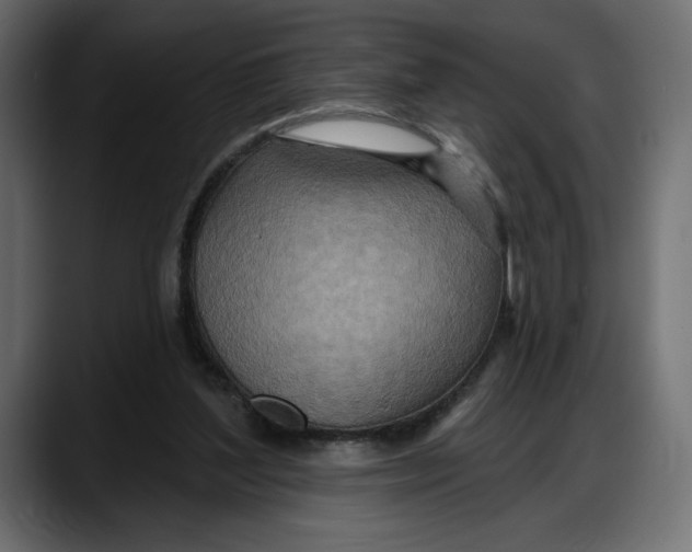 X0000087740204200705291020