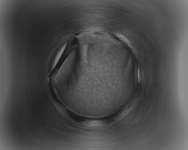 X0000087740205200705291020