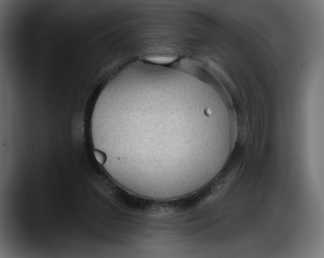 X0000087740207200705291020