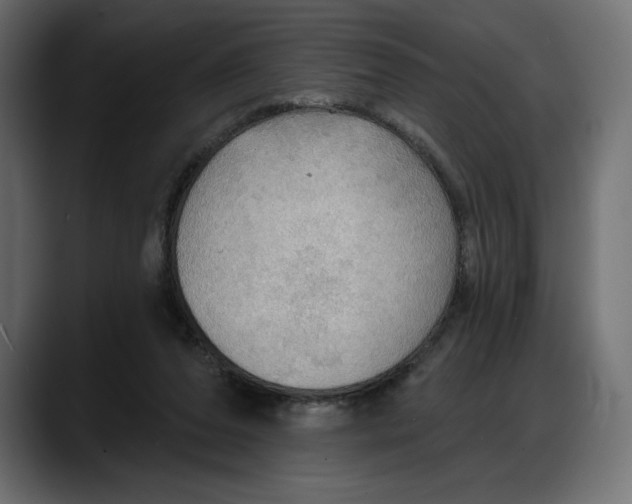 X0000087740208200705291020