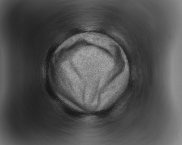 X0000087740210200705291020