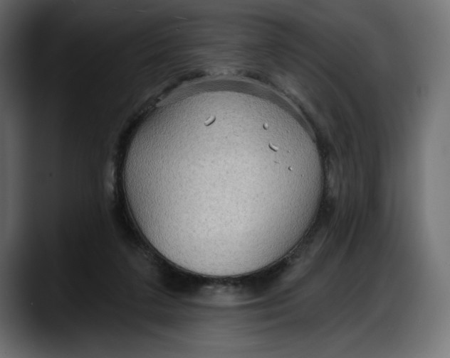 X0000087740211200705291019