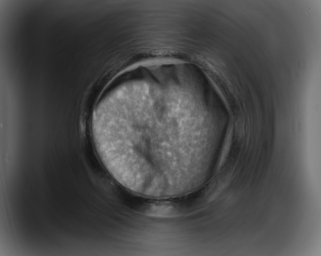 X0000087740214200705291019