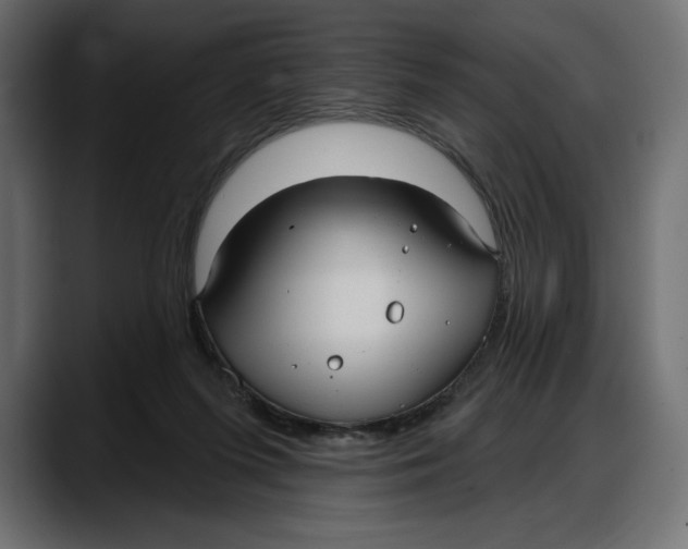 X0000087740215200705291019