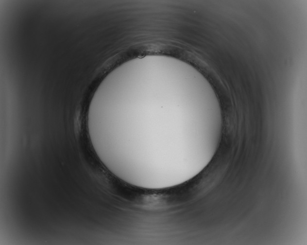 X0000087740216200705291019
