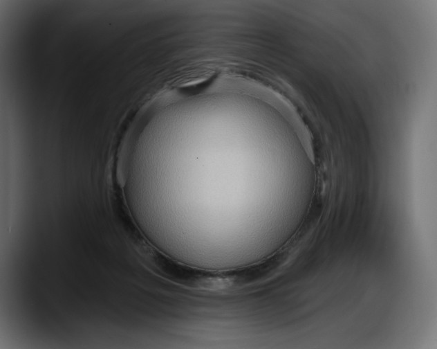 X0000087740217200705291019