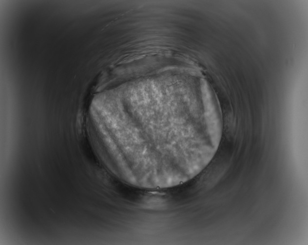 X0000087740222200705291019