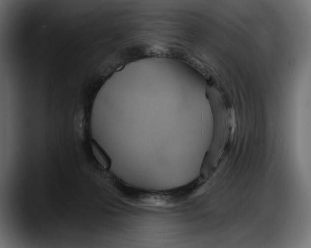 X0000087740223200705291019