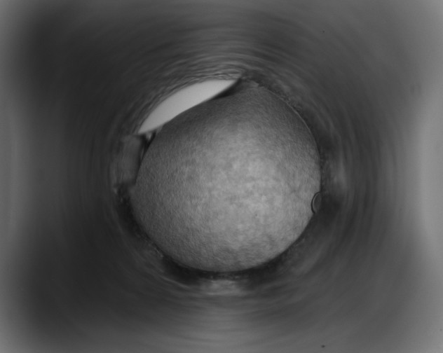 X0000087740224200705291019