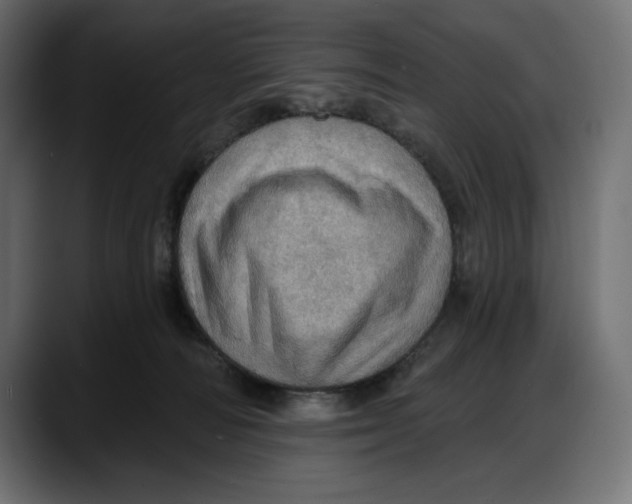 X0000087740226200705291019