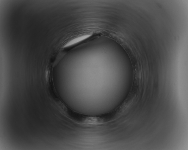 X0000087740227200705291019