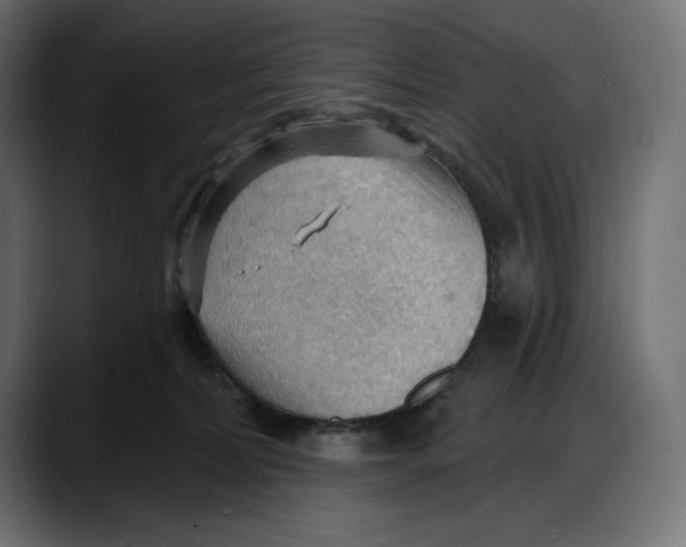 X0000087740228200705291019