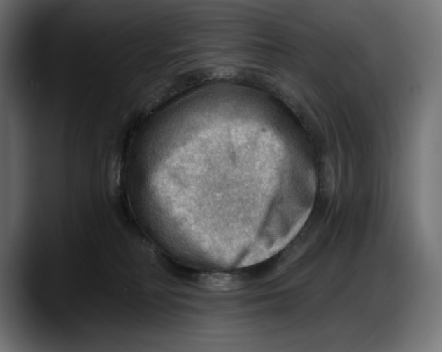 X0000087740230200705291019