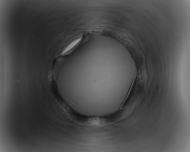 X0000087740231200705291019