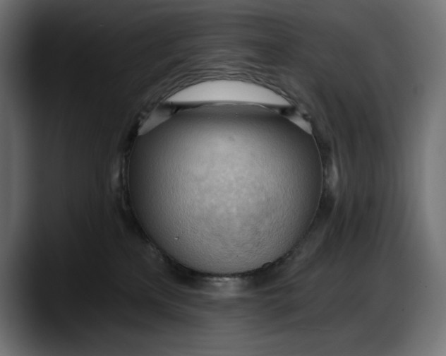 X0000087740233200705291019