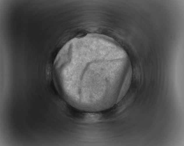 X0000087740234200705291019